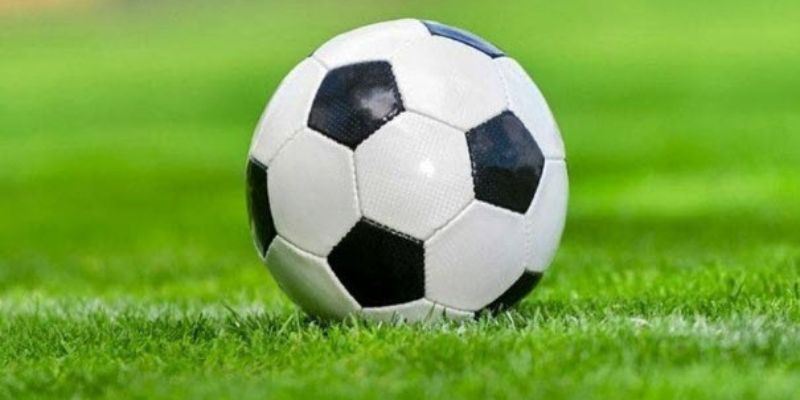 Kinh nghiệm theo dõi biến động tỷ lệ