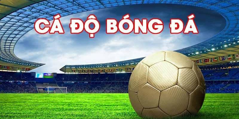 Hơn 3,8 triệu thành viên hoạt động thường xuyên tại nhà cái